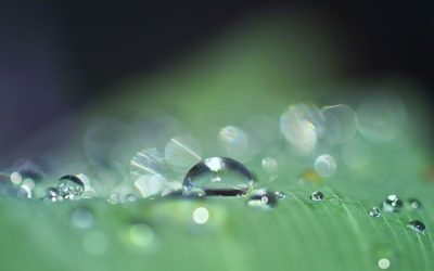 Punctal Plugs and Dry Eyes Treatment