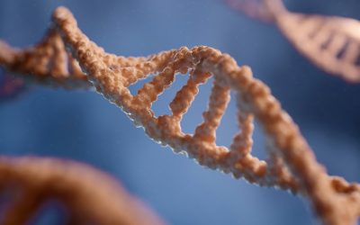 Is Glaucoma Hereditary?